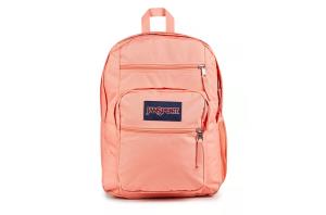 Image of BIG STUDENT