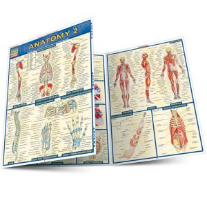Image of Anatomy 2