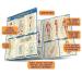 Image of Anatomy 2