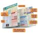 Image of CHEMISTRY QuickStudy Barchart