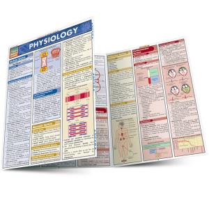 Image of PHYSIOLOGY QuickStudy Barchart