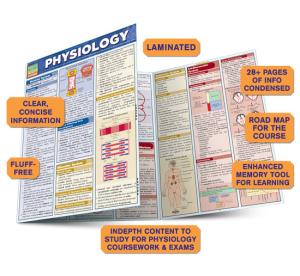 Image of PHYSIOLOGY QuickStudy Barchart