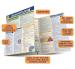 Image of PSYCHOLOGY QuickStudy Barchart